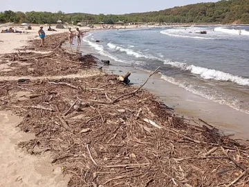 Внимание! Вълшебен наш плаж е опасен за живота
