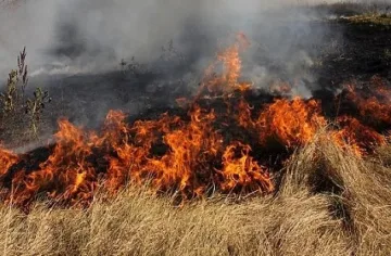 70 бали слама и гълъбарник изгоряха в Кърджалийско 