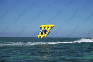 Туристи летят в морето с риба-амфибия  