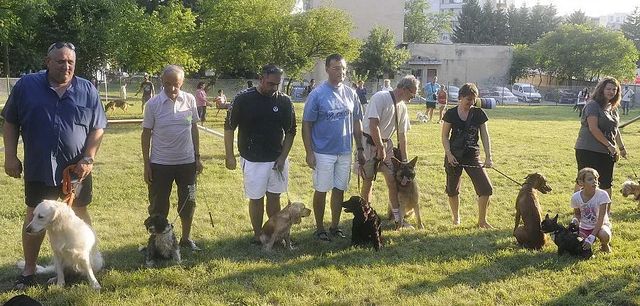 Кокерката Рая стана миска на Разград