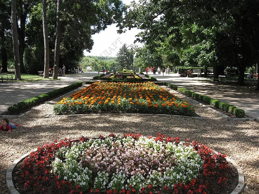 Музика тече във вените на Добрич