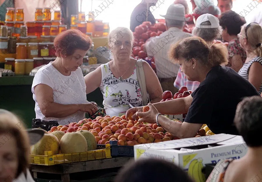 Българският домат в режим на оцеляване