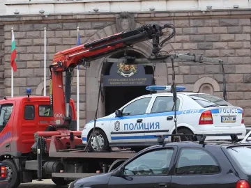Паяк дебне от август в Плевен 