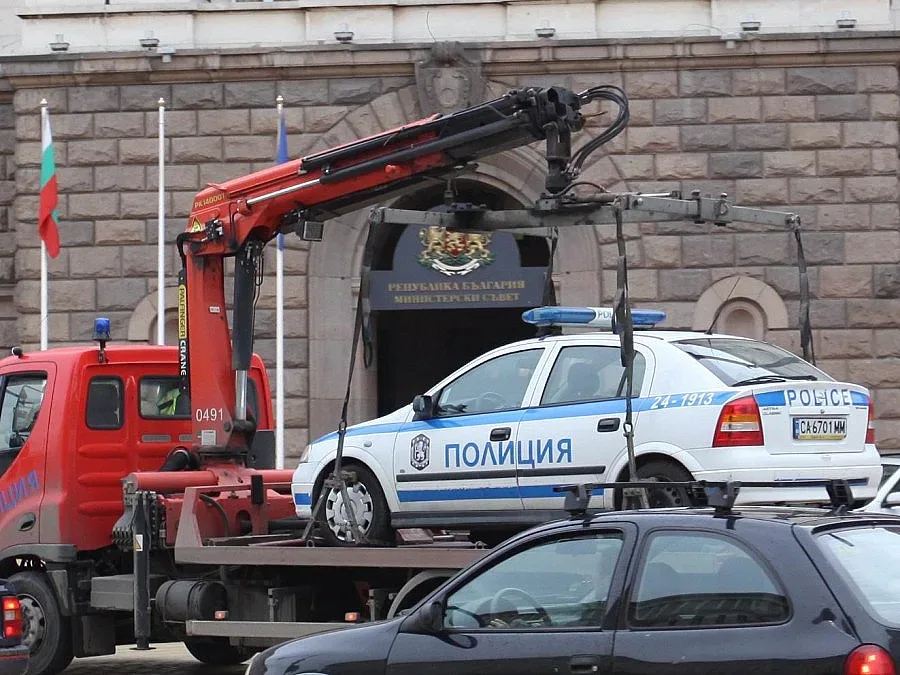 Паяк дебне от август в Плевен