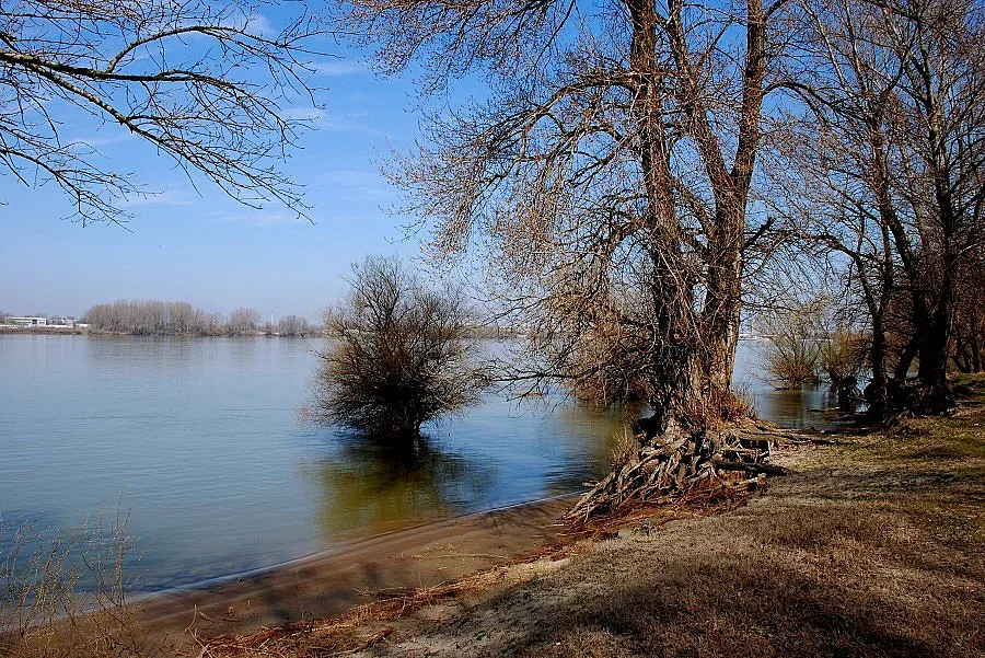 Труп на жена изплува от Дунав