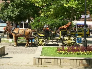 Петима в ареста за изнудване на файтонджии в Созопол