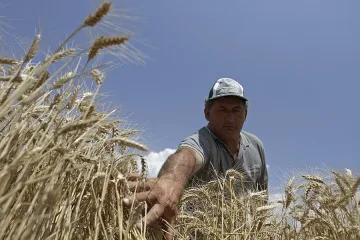 Държавата спасява фермери от фалит