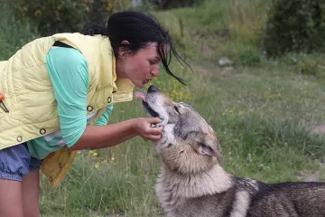 Терес избягал и от Слай