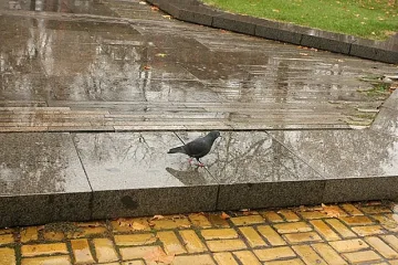 Времето утре: слънце на изток, дъжд на запад