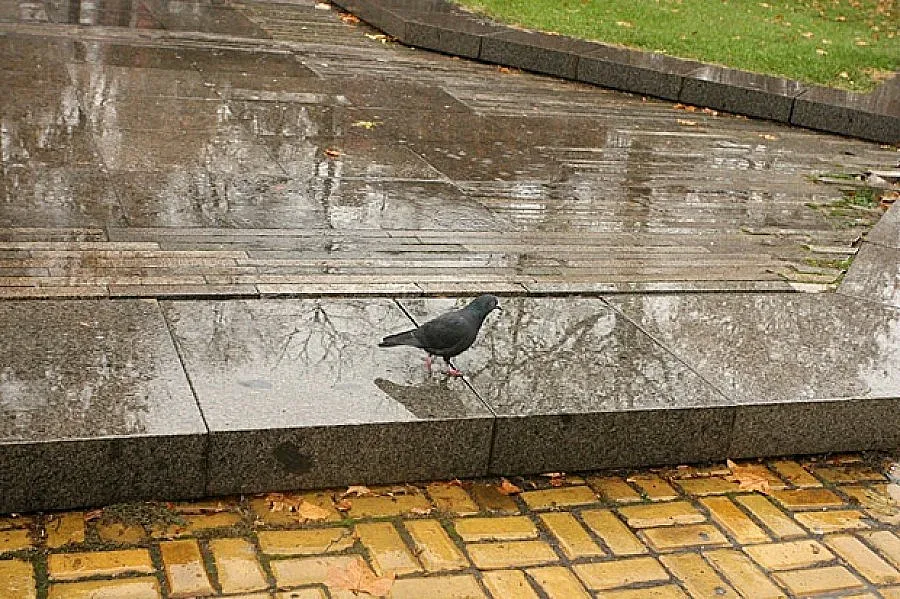 Времето утре: слънце на изток, дъжд на запад