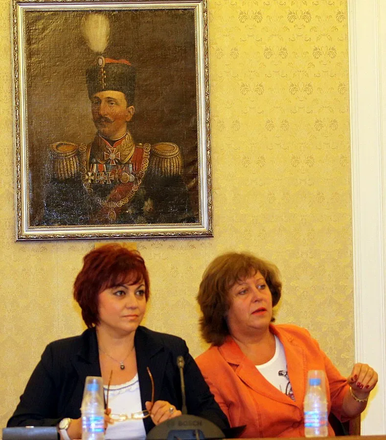 Майки поискаха семейно подоходно облагане