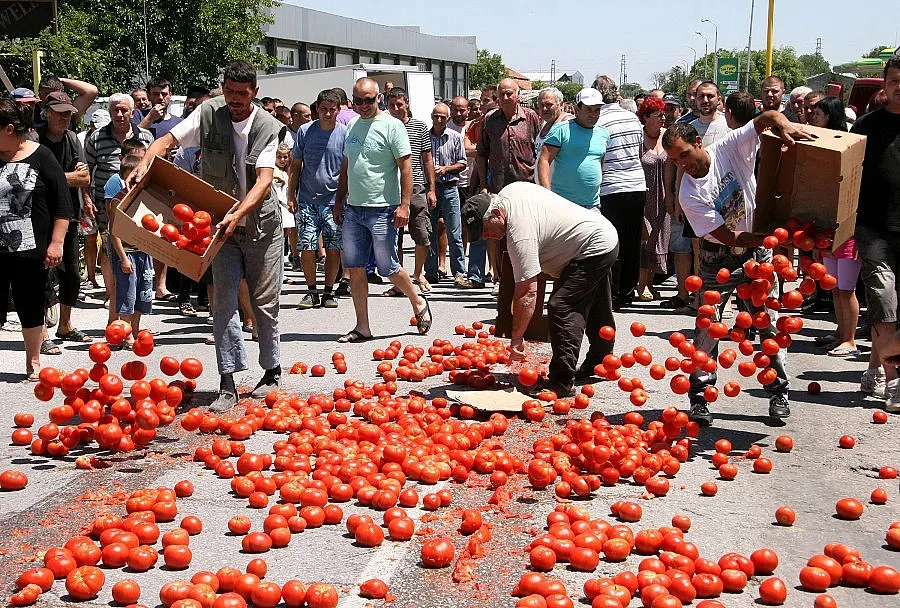 Фермери даряват домати, вместо да ги газят