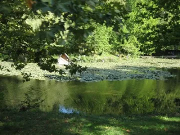 Мъж се удави в езеро по време на пикник в Русе