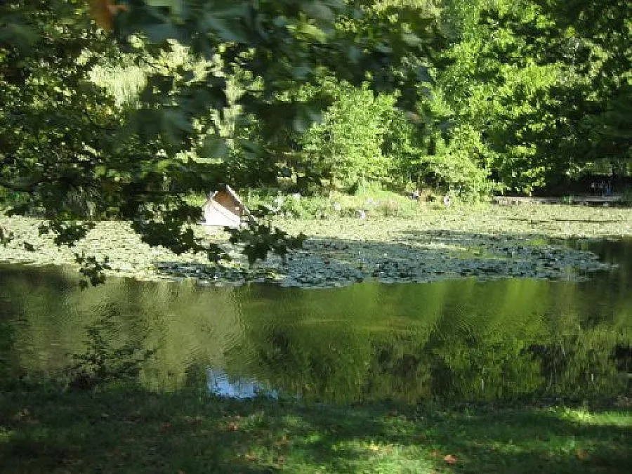 Мъж се удави в езеро по време на пикник в Русе