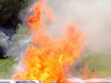 Пожар овъгли къща и обор с над 100 животни