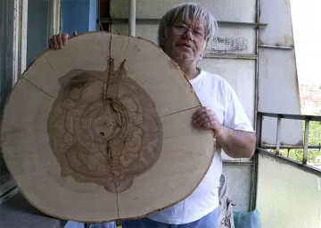 Вековни дървета подсказват климата в миналото