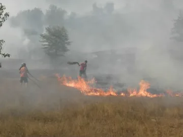 Треви и храсти горяха над плажа в Благоевград