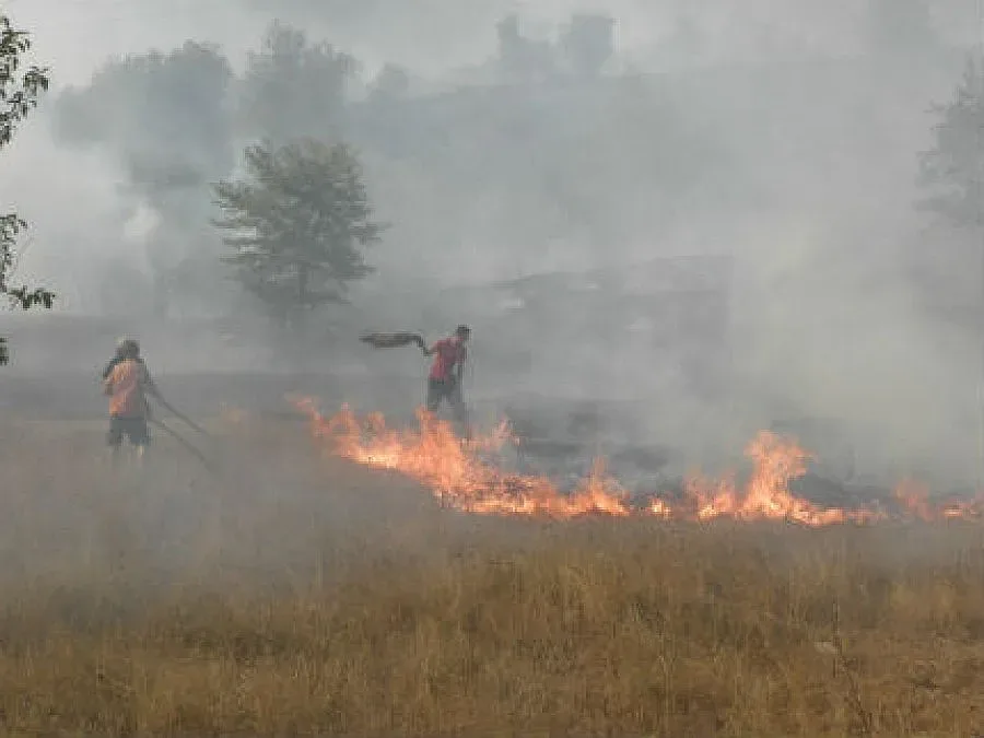 Треви и храсти горяха над плажа в Благоевград