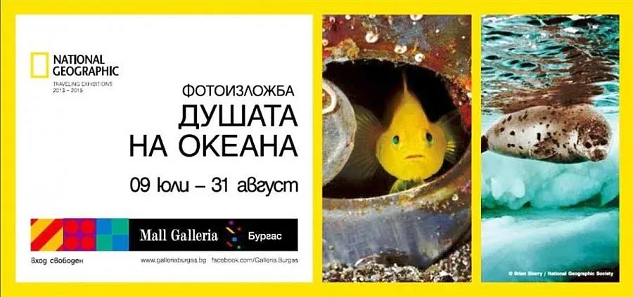 Фотоизложба „Душата на океана" откриват в Бургас