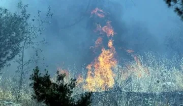 Пожар избухна в централен Йерусалим