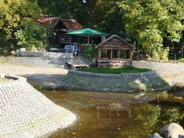 "Баба Яга" в Княжеската градинка гори