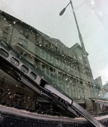 Хладно и ветровито с валежи