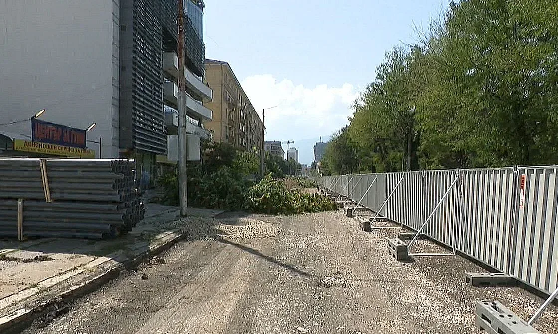 Скандал заради изсечени дървета в София. Спорят общински съветници