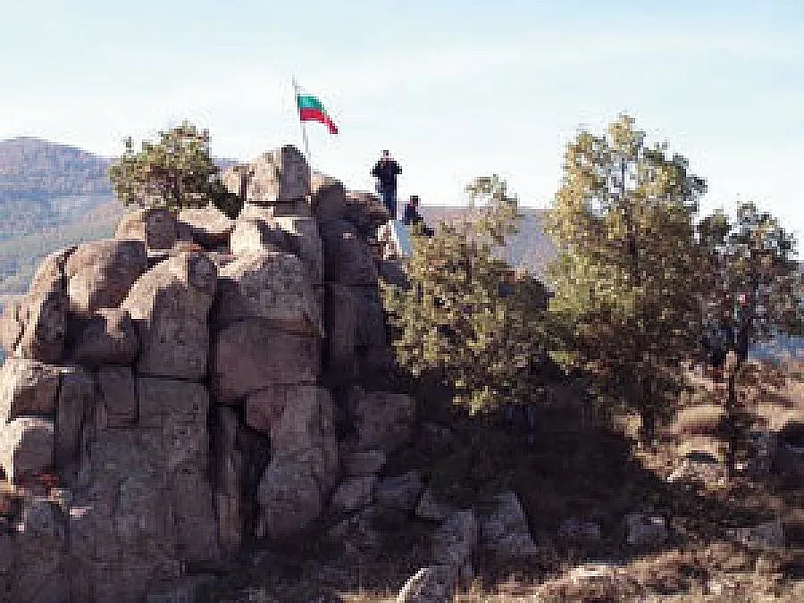 Вълча глутница изяде 7 овце, в Мечкул не смеят да излязат на къра