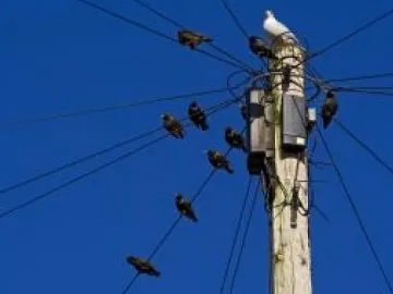 Частно енерго точи милиони месечно