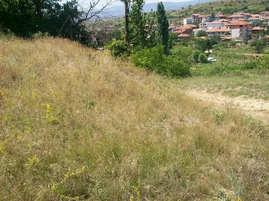 Селски кмет командва стотици граждани