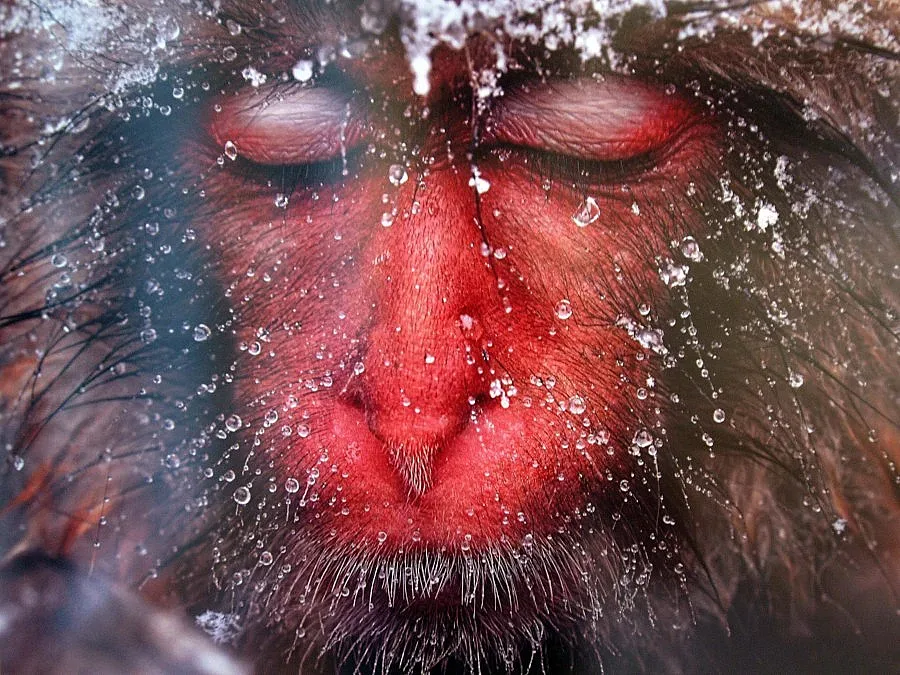 Откриват шестия фотосалон във Варна