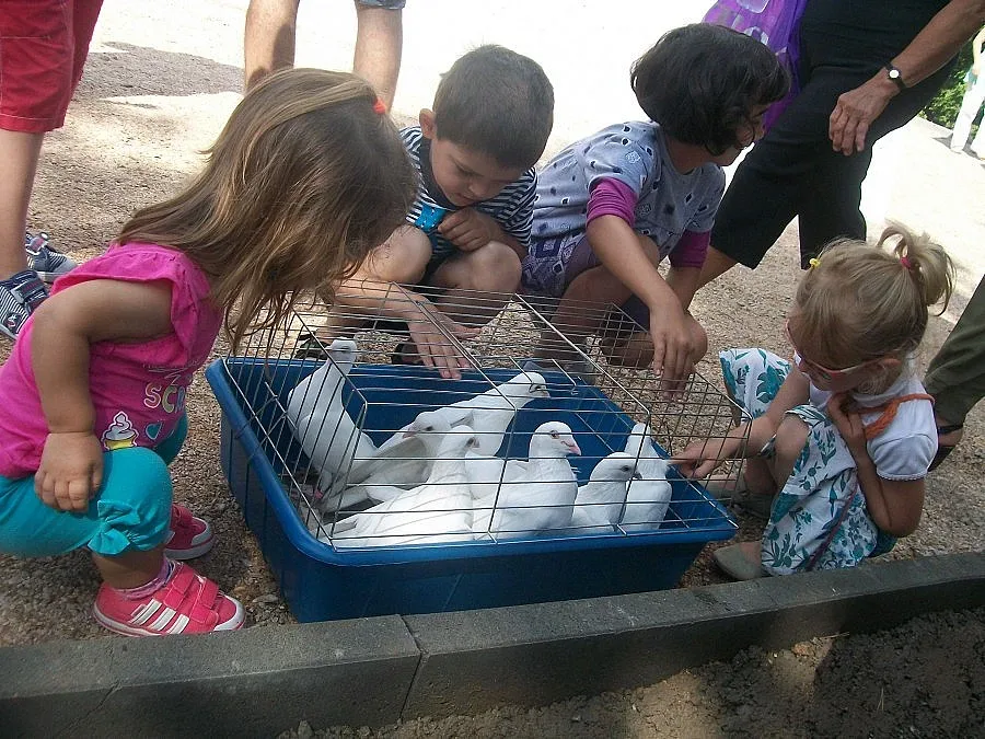 Осветиха 33-метров кръст, 7 бели гълъби полетяха в небето