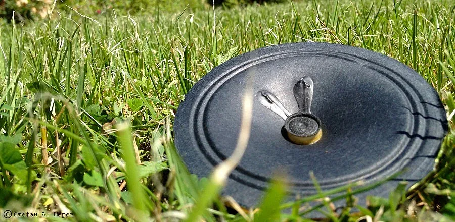 Аудио-разходка и поезия в Южния парк