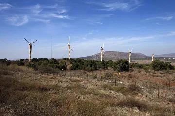 Продават за 17,6 млн. евро вятърната ферма в Храброво