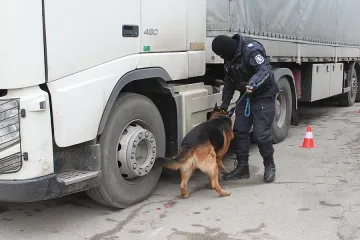 Унищожиха над 60 000 къса контрабандни цигари 