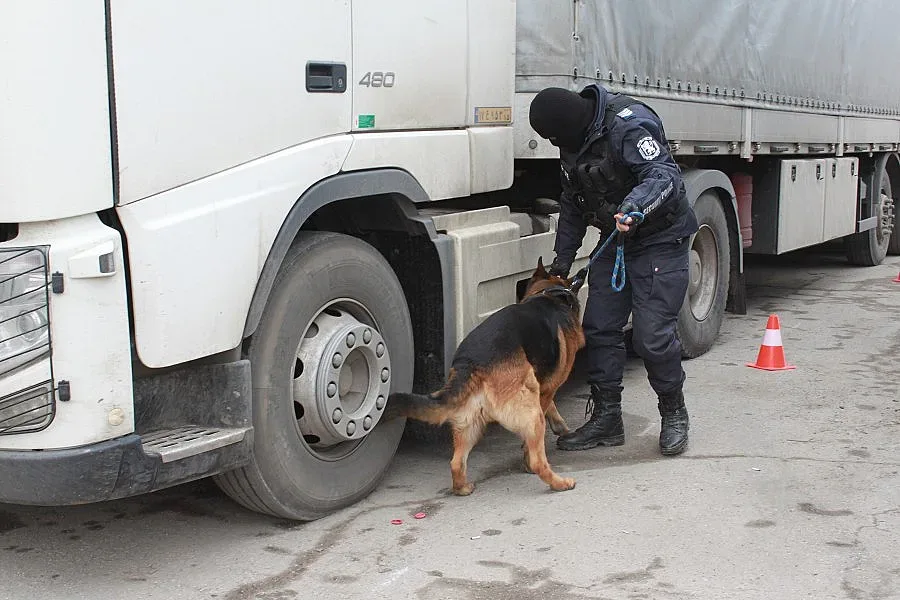 Унищожиха над 60 000 къса контрабандни цигари