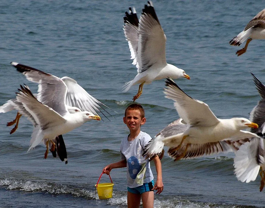 В 08, 04 часа настъпи астрономическото лято