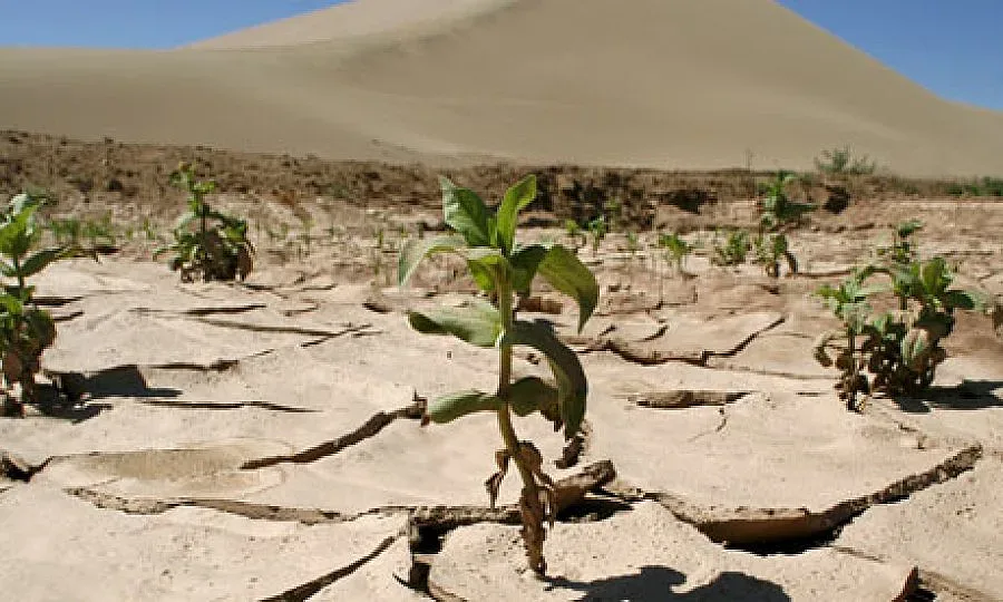 СБ предупреди за последиците от глобалното затопляне