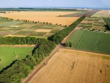 Разпродават ниви заради дългове