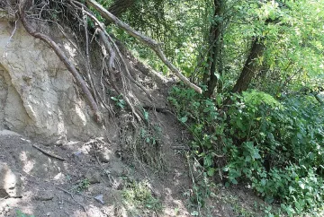 Студентка се обеси в Южния парк