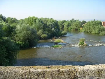 Спасители вадят жена и деца с лодки от остров в Марица