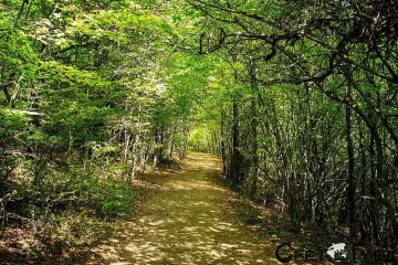 Чудна екопътека между две села