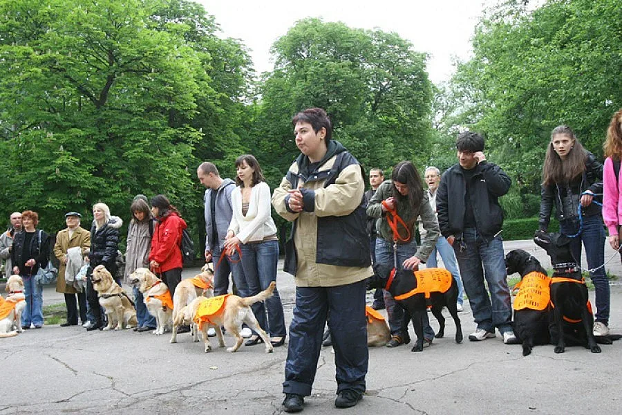 Инициатива в София ни поставя на мястото на незрящи