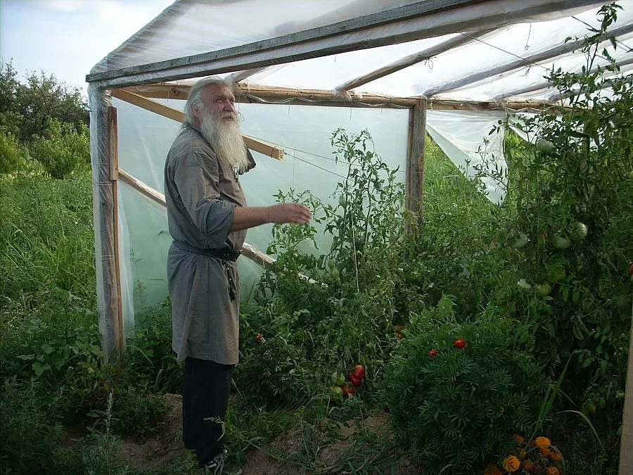 Вдигат неделно училище с парите от продажби