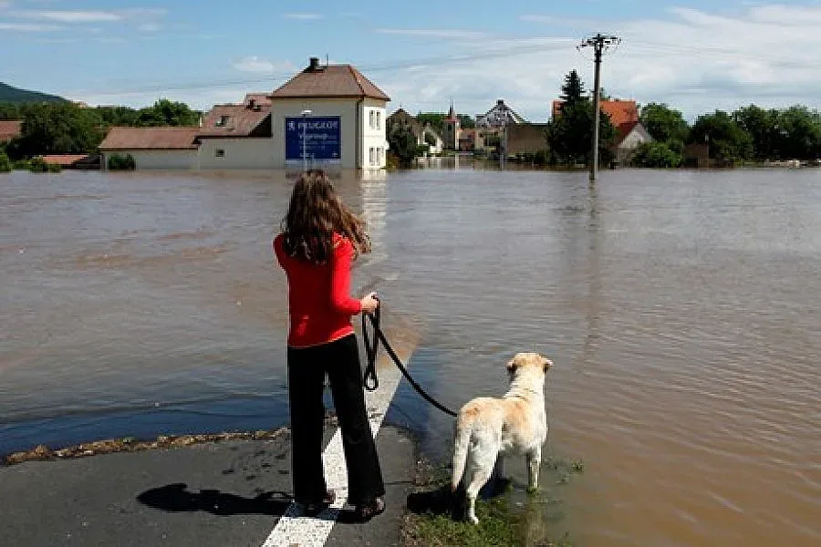 Обявиха жълт код заради повишаването на Дунав