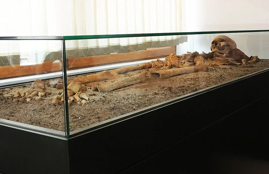 Созополският вампир се завърна на родна земя