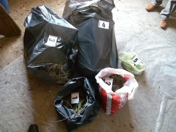 Домашна фабрика за марихуана откриха полицаи в село Долно Къпиново
