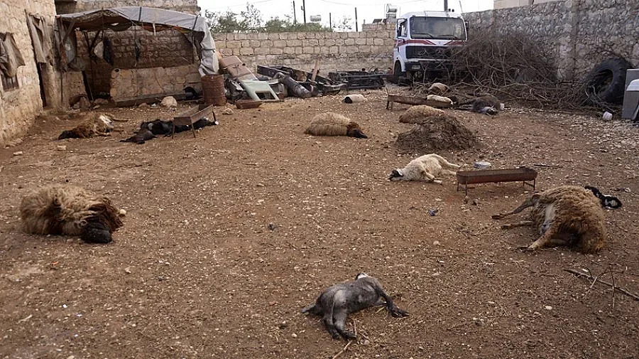 Франция потвърди употребата на зарин в Сирия