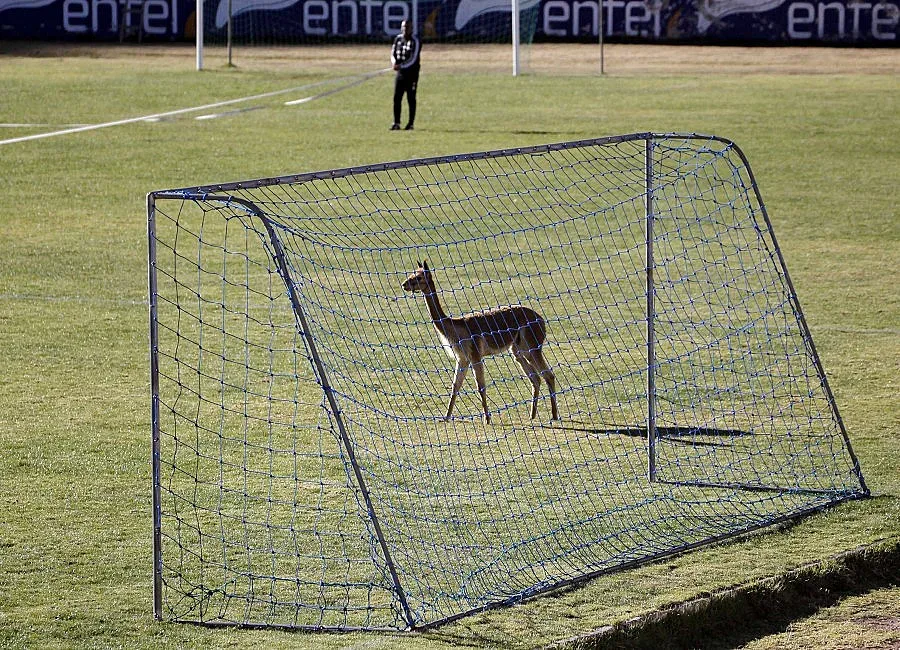 Дете загина при игра