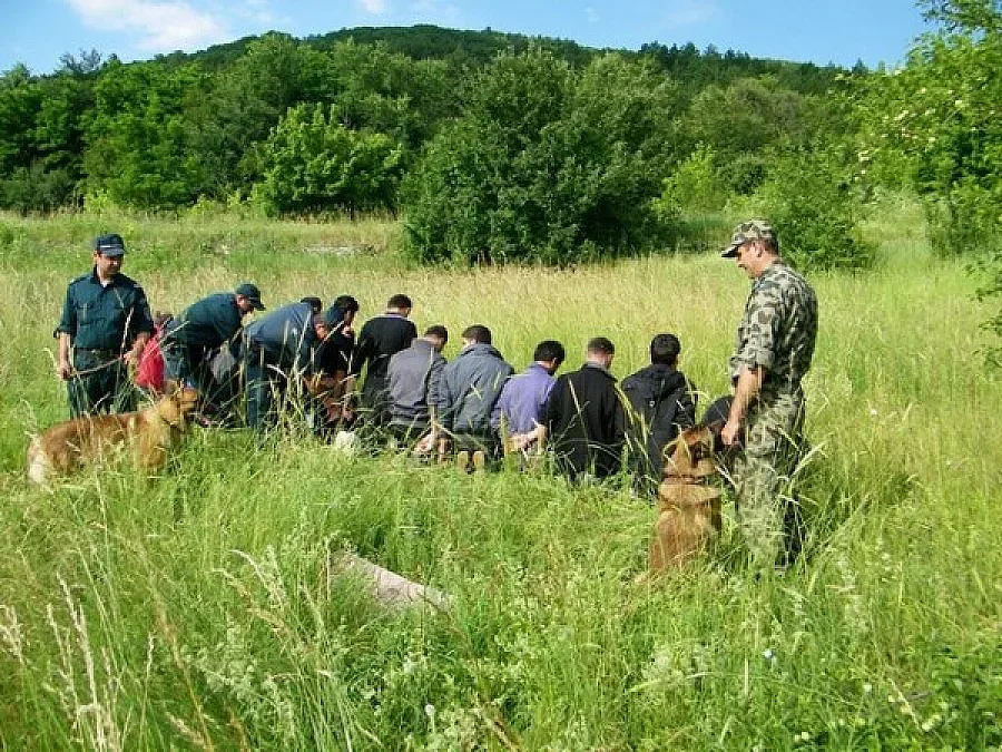 Гранични полицаи задържаха 14 нелегални имигранти